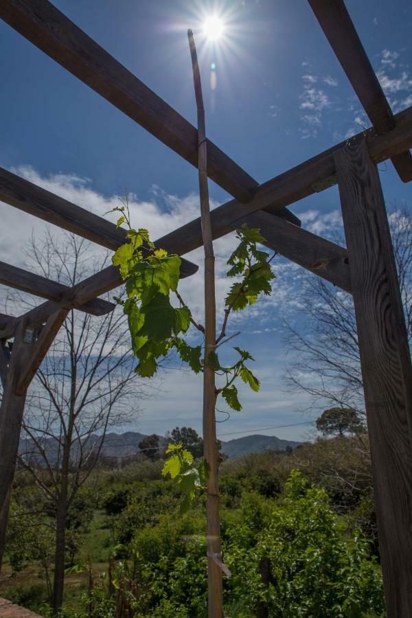 Bed and Breakfast Fuego Blanco Alora Exterior foto